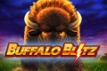 Buffalo 300.jpg